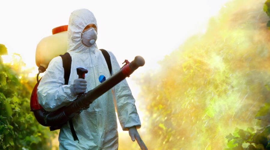 Professional mosquito fogging services in Williamston - Mosquito Fogging Williamston